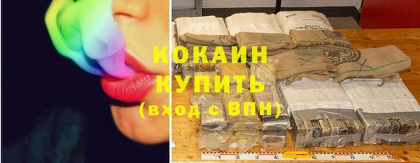 стаф Новозыбков