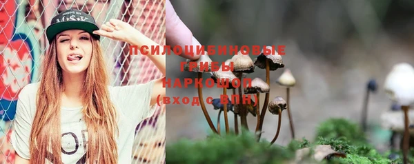 спиды Новодвинск