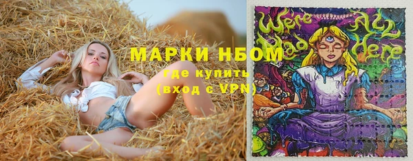 стаф Новозыбков