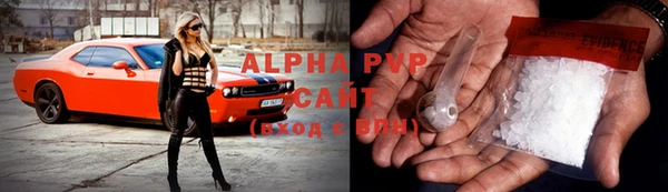 стаф Новозыбков