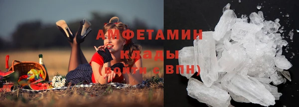 стаф Новозыбков