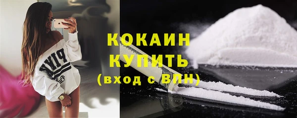 стаф Новозыбков
