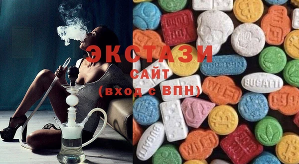 стаф Новозыбков