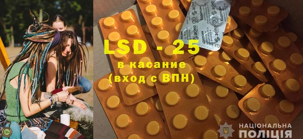 спиды Новодвинск