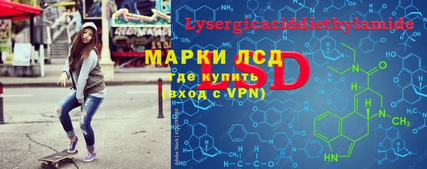 стаф Новозыбков