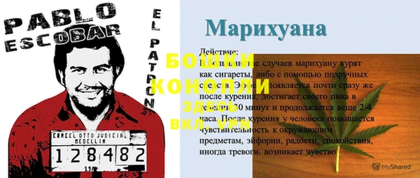 спиды Новодвинск