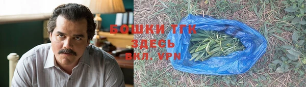 стаф Новозыбков