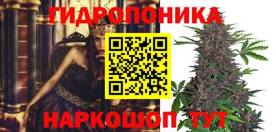 гашик Кулебаки
