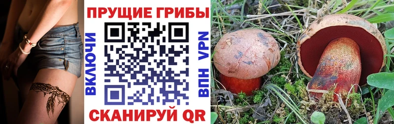 цены наркотик  Кисловодск  кракен маркетплейс  нарко площадка наркотические препараты  Псилоцибиновые грибы Cubensis 