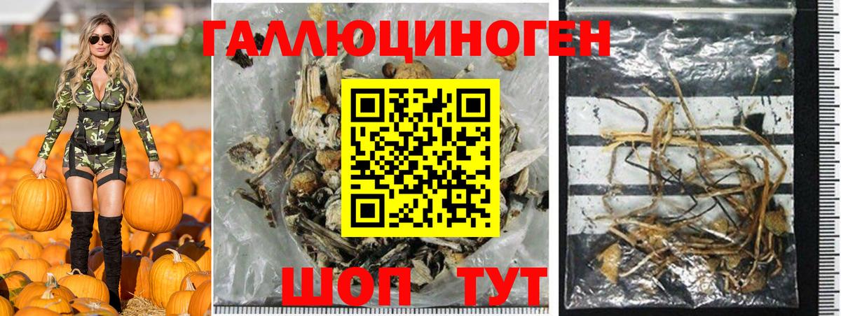 Галлюциногенные грибы мухоморы Кисловодск