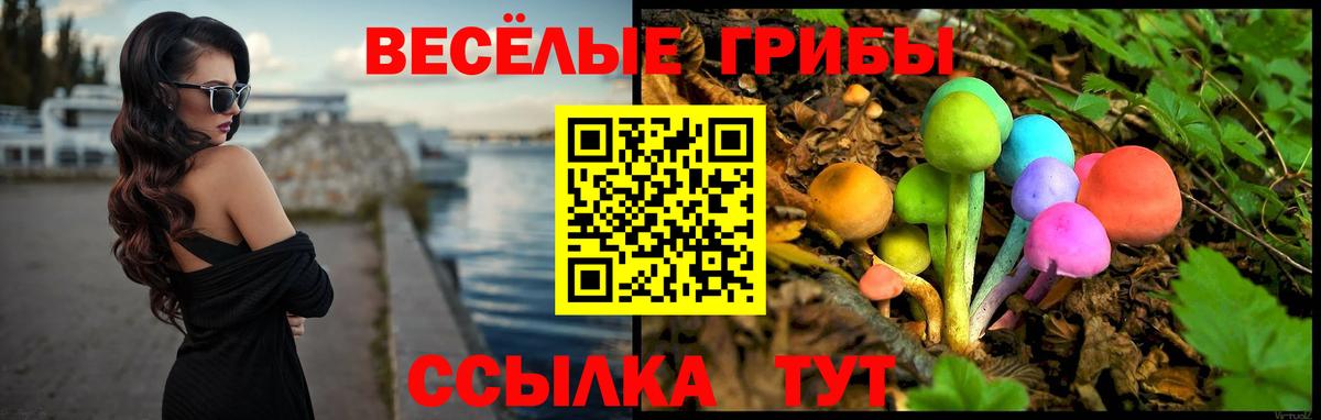 Кисловодск  Псилоцибиновые грибы MAGIC MUSHROOMS  Вход с VPN  Псилоцибиновые грибы MAGIC MUSHROOMS 